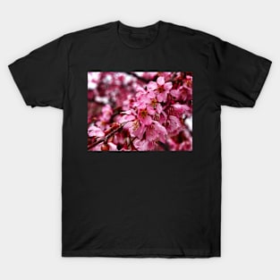 Beautiful Piece of Spring T-Shirt